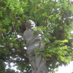 20140527_094337schwarmbaumloidl