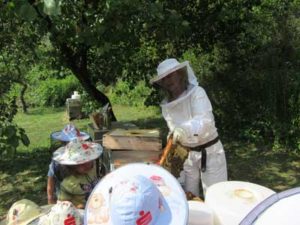 Kinder Bienen Schulen helfen dem Imker der Honigwerkstatt