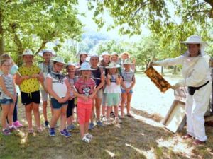 Bienen Kinder Schulen Besuch im Bienengarten