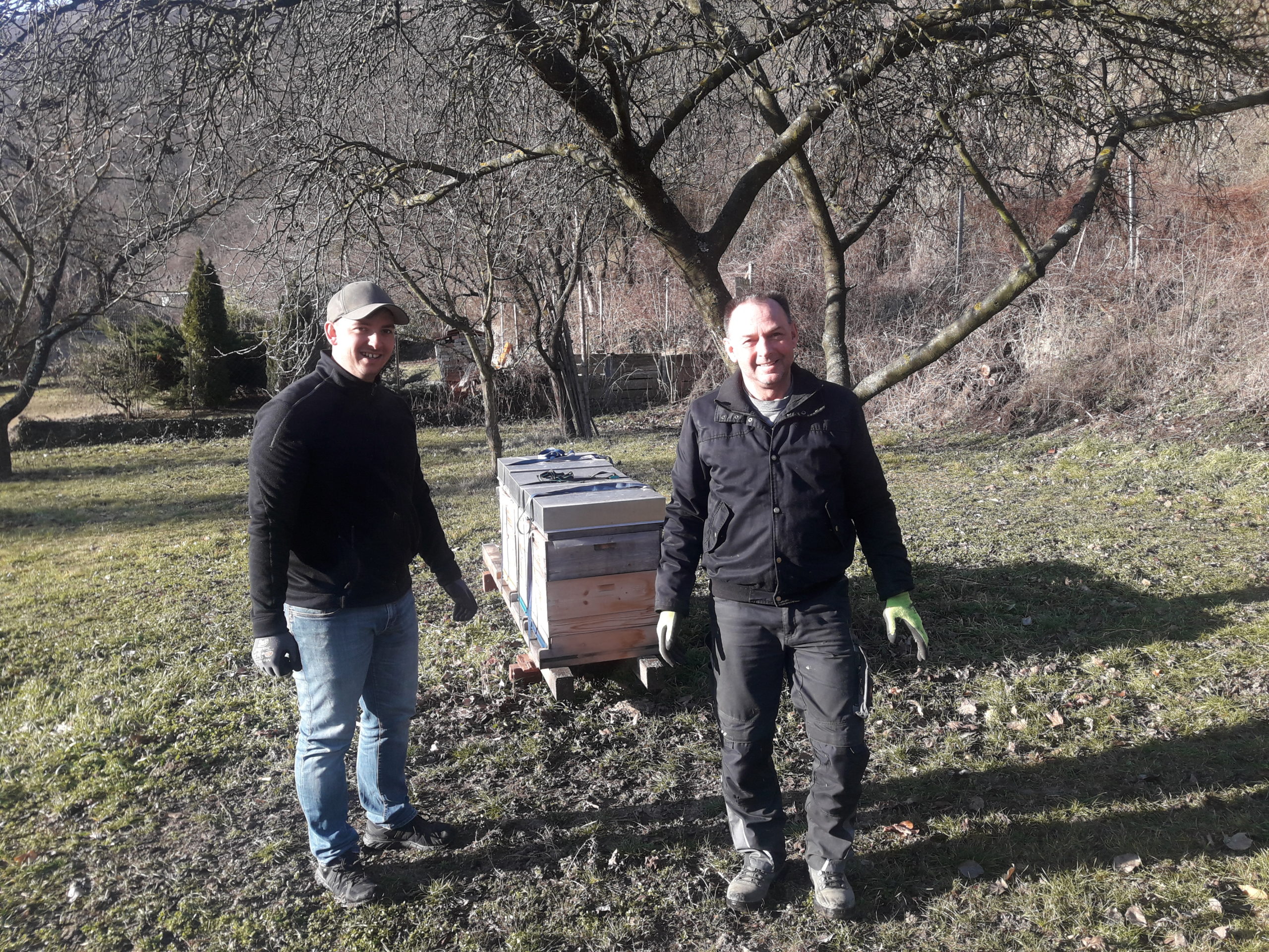 Bienenpate Heuriger Ilkerl Bienenpate Heuriger Ilkerl