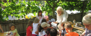 Bienen Schulprogramme Honigwerkstatt