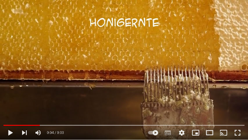 1 Löffel Honig – 1 Bienenleben